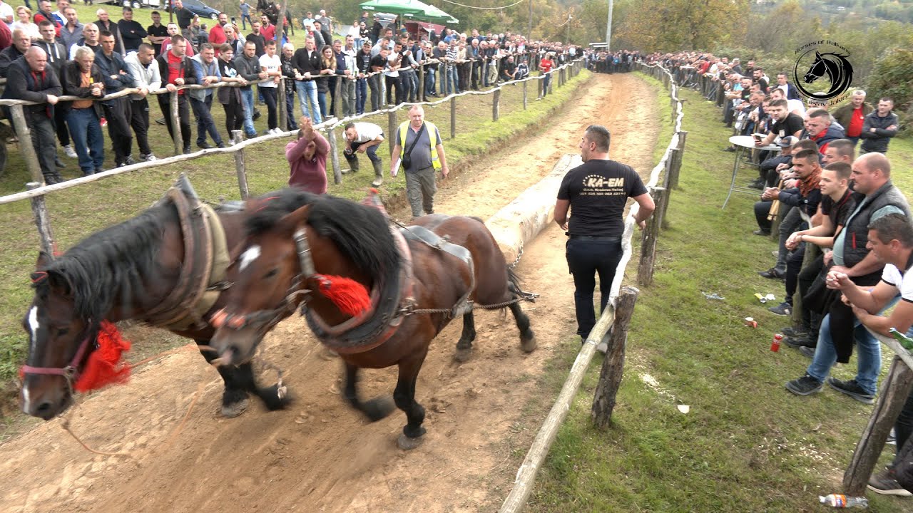 - MAID MEŠIĆ POKOSIO LAKU SA VINKOM I CVJETKOM NA FINALU SLATINE -