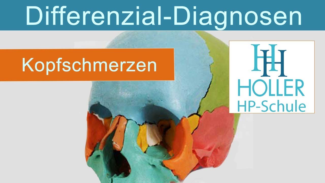 Differenzialdiagnose Kopfschmerzen, Heilpraktiker-Prüfung bestehen mit den Holler-Lehrvideos