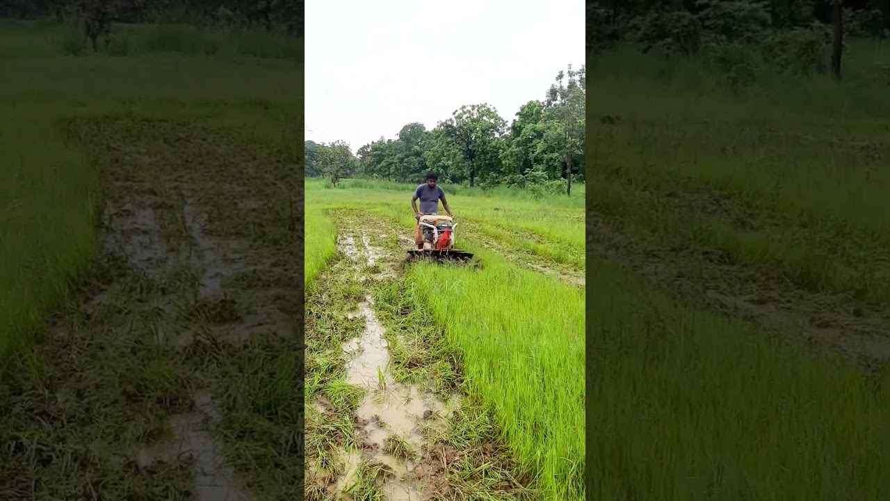9HP Power Weeder #shorts #shortsviral