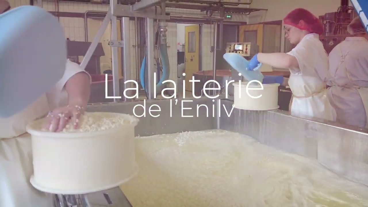 Visite de la laiterie de l'Enilv