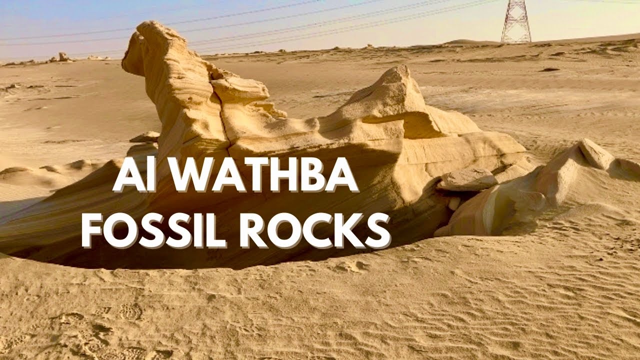 Al Wathba Fossil Dunes: Abu Dhabi Fossil Dunes | Al Wathba Fossil Rocks