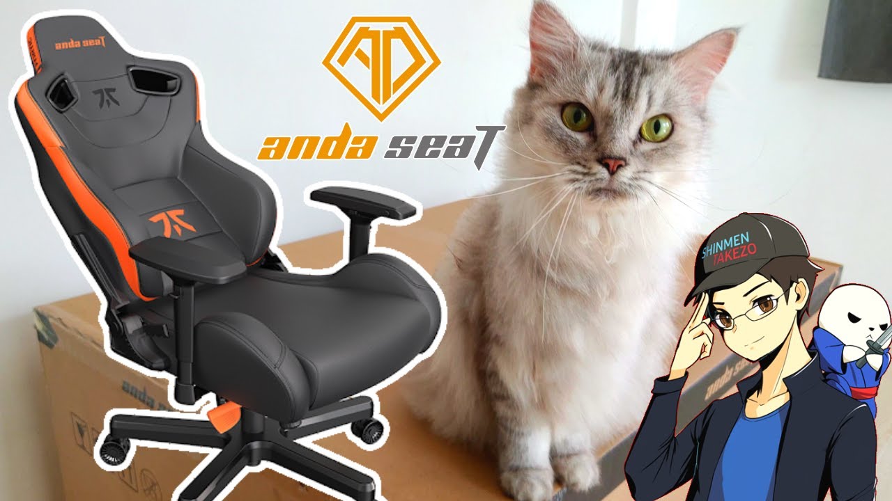 CATS HELP ASSEMBLE GAMING CHAIR | ANDA SEAT FNATIC EDITION PREMIUM GAMING CHAIR UNBOXING & ASSEMBLY