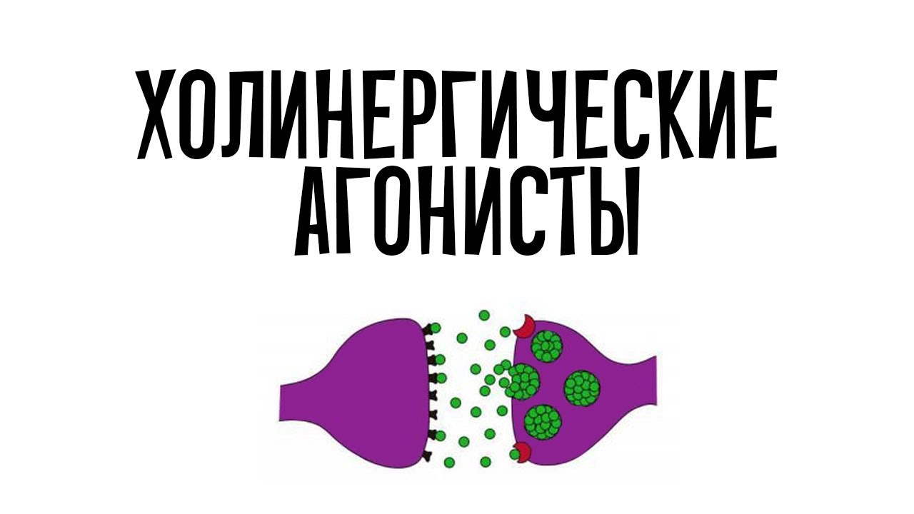 Фармакология. Холинергические агонисты (простым языком).