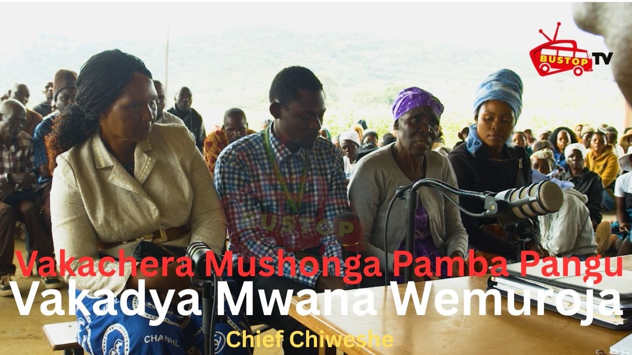Vakachera Mushonga Pamba Pangu Vakadya Mwana Wemuroja | Chief Chiweshe