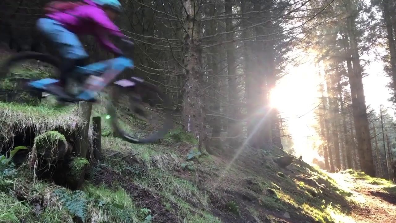 Pitmedden on the last day of the Decade