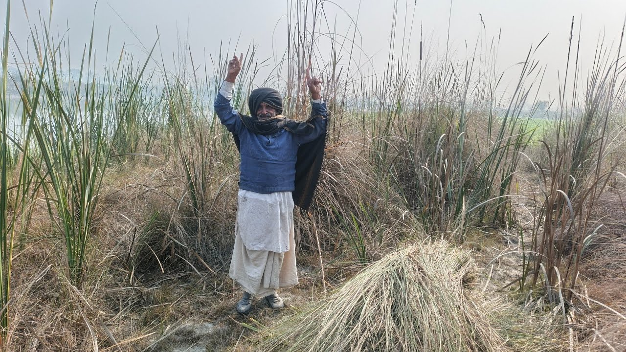My daily routine work in village life morning time 🥹 Hard work in village life 