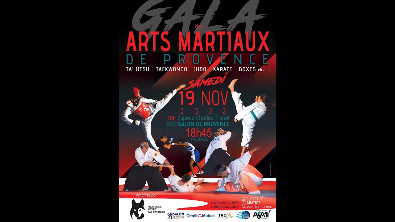 Gala des arts martiaux - Ki Shin Tai Jutsu - Salon-de-Provence 2022