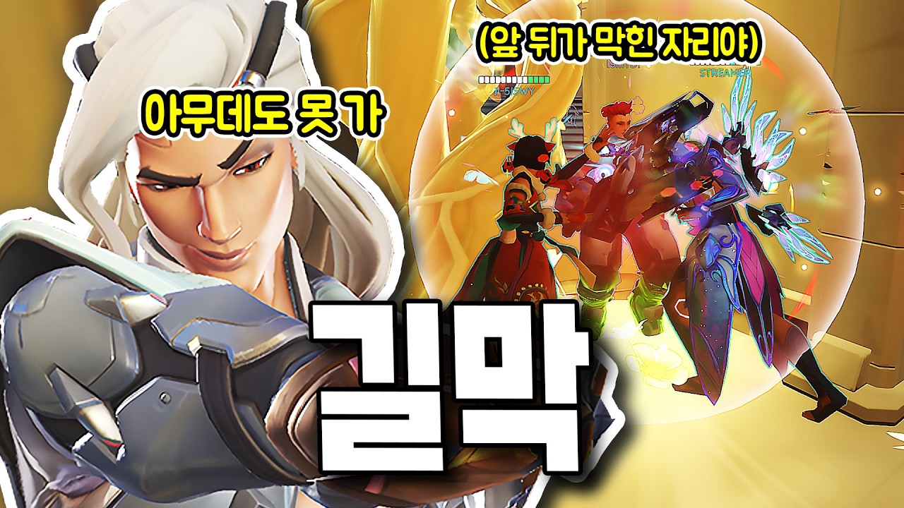 나무와 몸으로 자리야를 가두고 때리는 미친 힐러들 ㅋㅋ [오버워치]