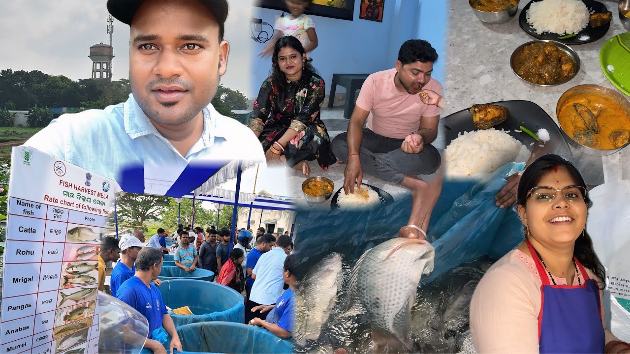Fish Harvest ମେଳାରୁ ଆଣିଲି ବହୁତ କମ ପଇସାରେ ମାଛ @basudevvlogs