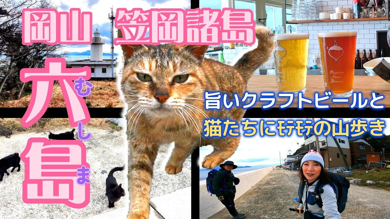 【笠岡諸島六島】猫まみれ・クラフトビール天国！六島（むしま）の人なつっこい猫たちに癒され美味しいクラフトビールを堪能してきました。岡山県の島山旅・2025.1.12.