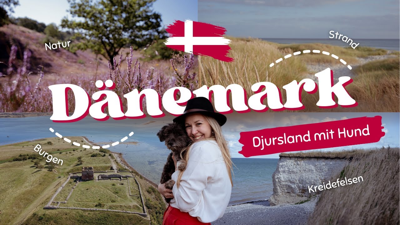 Dänemark Urlaub mit Hund an der Ostsee | Djursland, Mols Bjerge, Burg Kalø & Ebeltoft Reisevlog