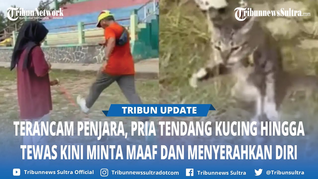 Nasib Pria Penendang Kucing hingga Berakhir Tewas di Blora Jawa Tengah, Pelaku Terancam Penjara