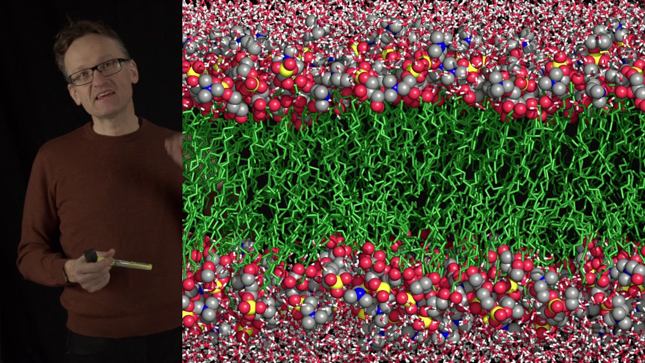 Concept 01: Recap & introduction to lipid-protein interactions