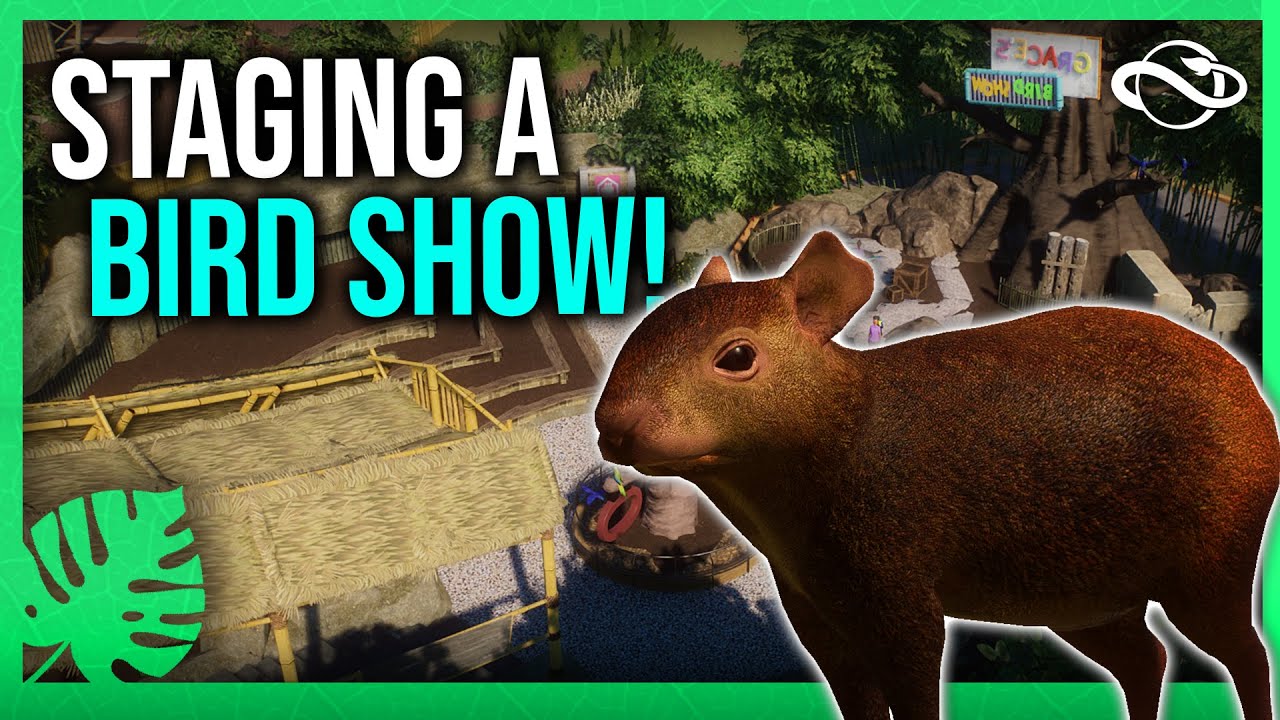 Staging a Bird Show! - Foxborough Zoo
