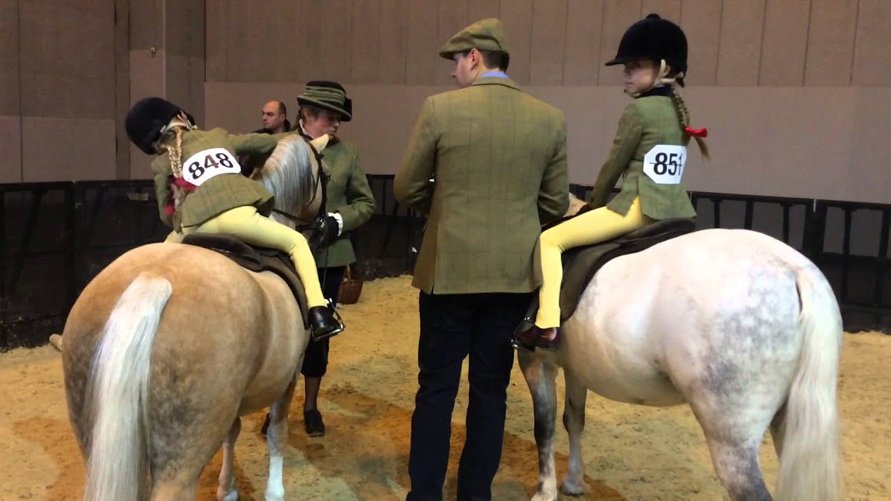 team whisperdale at HOYS 2015