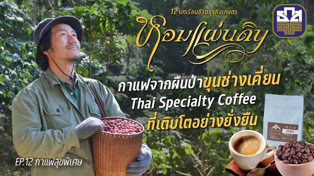 หอมแผ่นดิน ตอน กาแฟสุขพิเศษ | Thai Specialty Coffee จากผืนป่าขุนช่างเคี่ยน ความพิเศษพร้อมความยั่งยืน