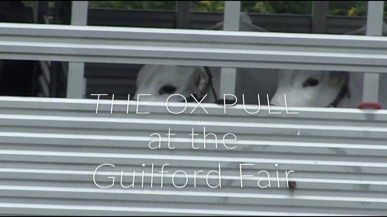 Couch Potatoe Productions: Guilford Fair 2021 Part 3 - The Ox Pull