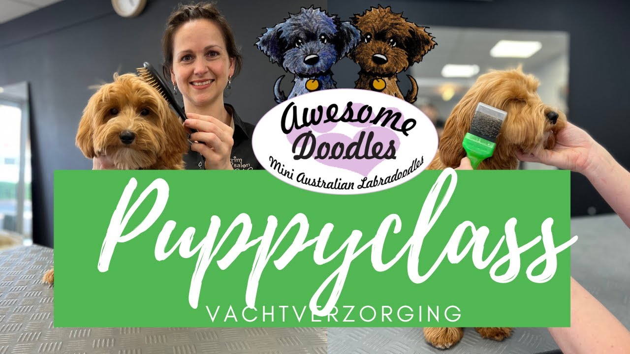 Awesome Doodles Puppyclass Vachtverzorging