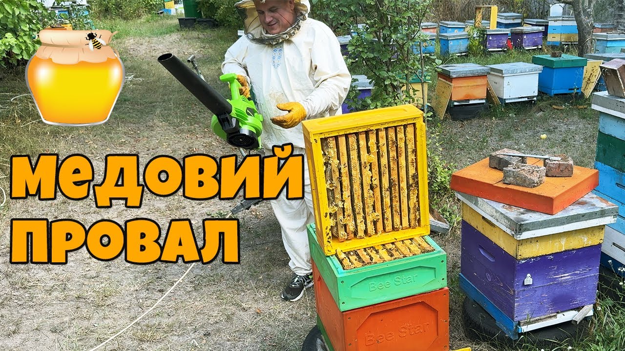 Відкачка меду 2025: Вперше за 25 років ТАК МАЛО меду!
