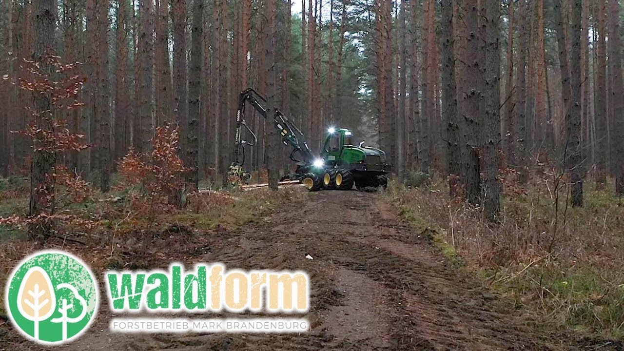 Waldform |John Deere 1170G 8WD | IBC | Forstarbeit im Wald