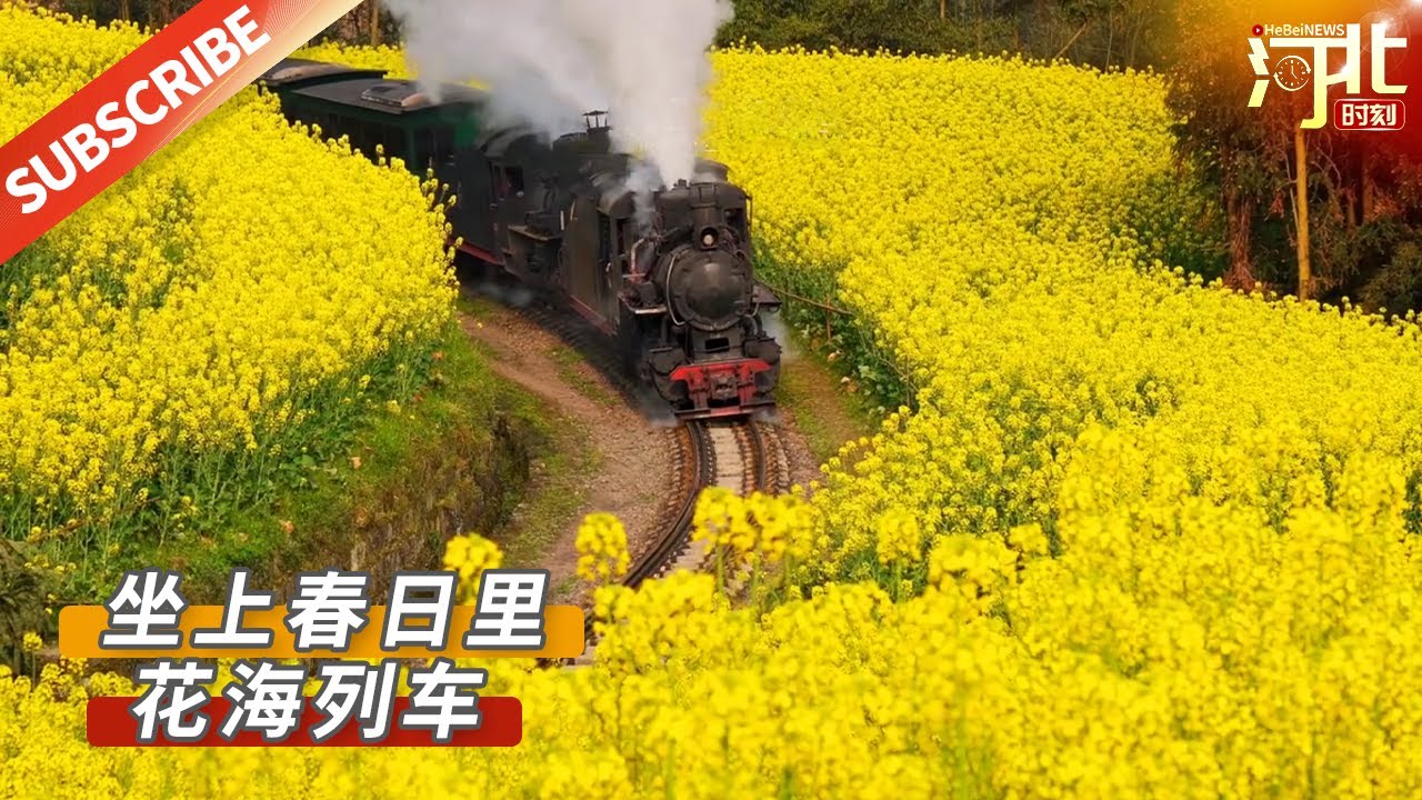 【文化旅游】浪漫出行，坐上春日里的花海列车~还有什么比坐着开往春天的小火车更浪漫？来源@中国国家地理 #河北 #春日 #景色 #治愈