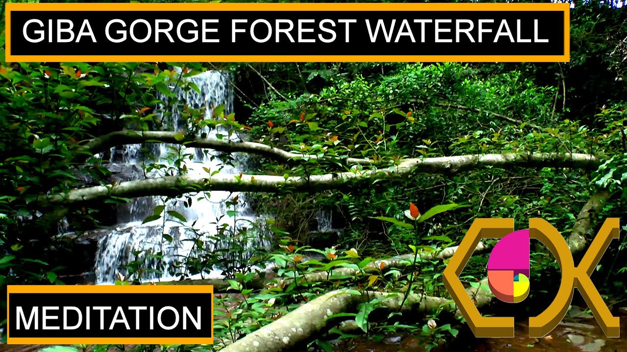 MEDITATION FOREST WATERFALL SCENES AT GIBA GORGE - DIARY ENTRY 25TH OF OCTOBER 2012