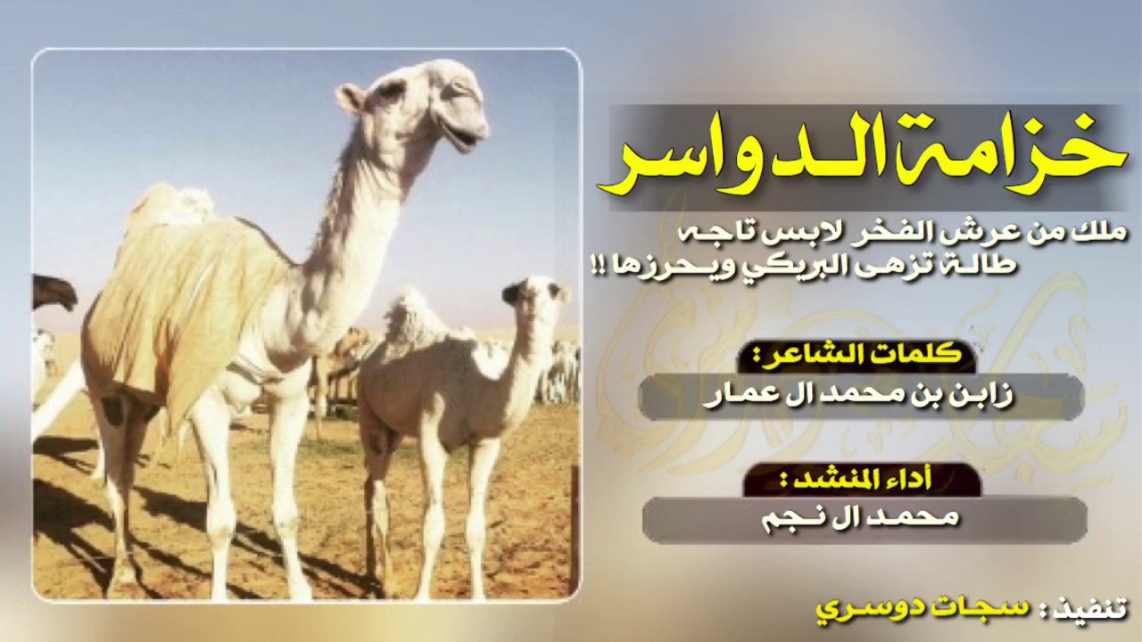 شيله خزامه الدواسر | طاله تزها البريكي ويحرزها | محمد ال نجم 2017 #طررب