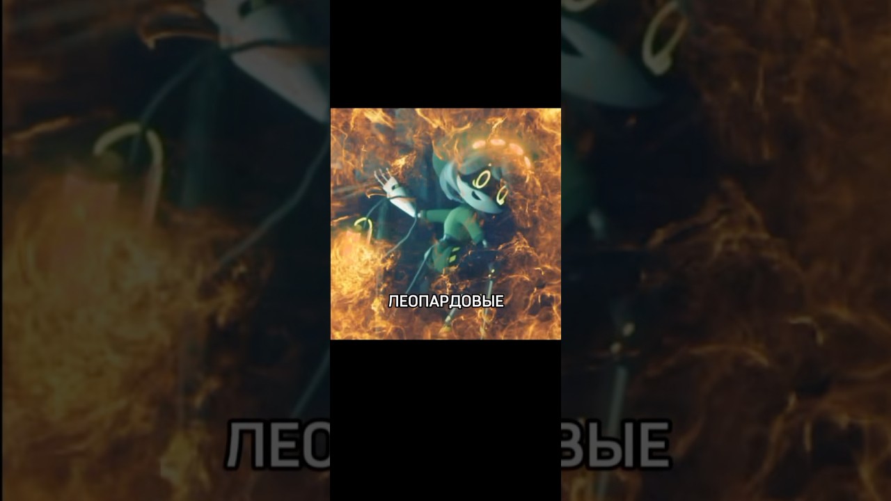 #edit #нетхейту #хзчтоснимать #cat #мемас #дроныубийцы #пустьзалетит