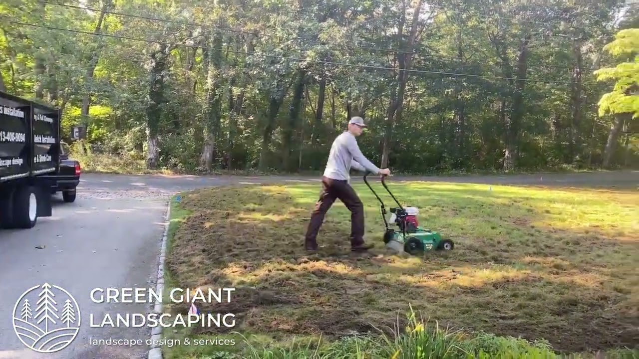 Lawn dethatching and crabgrass control