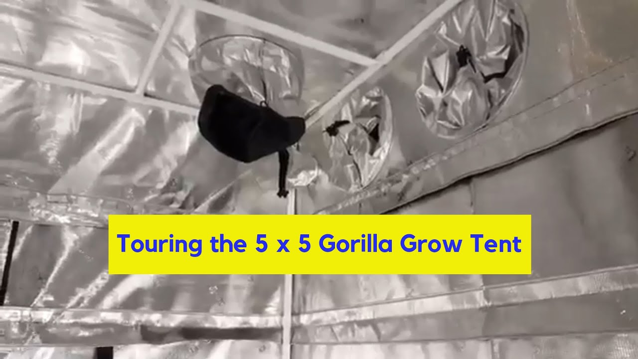 Assembled 5x5 Gorilla Grow Tent | Hobby Bobby