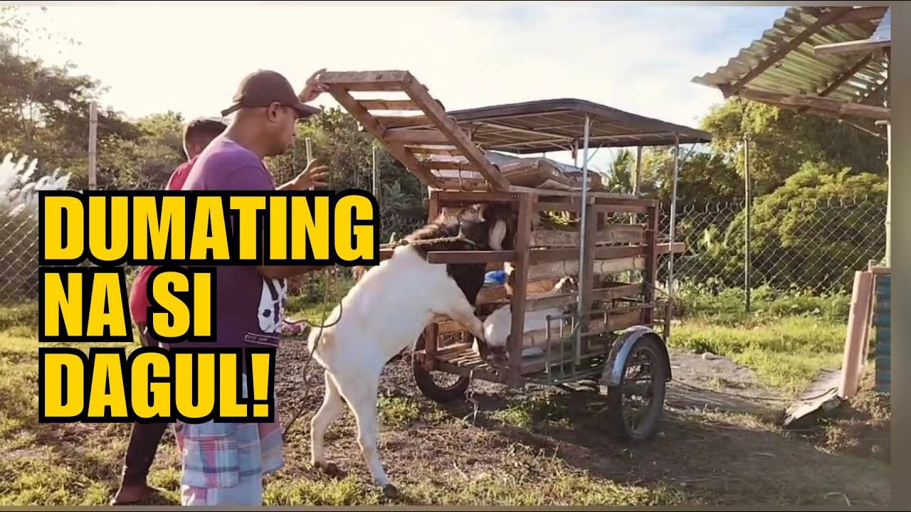 DUMATING NA SI DAGUL!