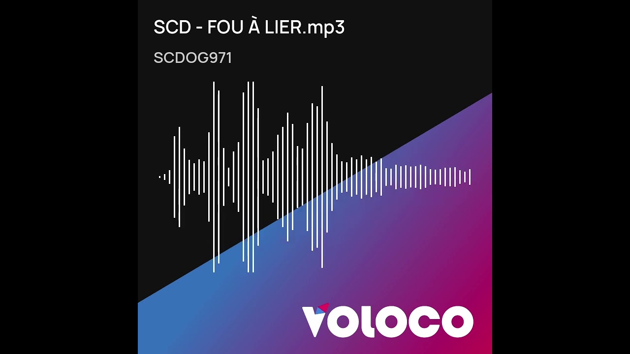SCD - FOU À LIER