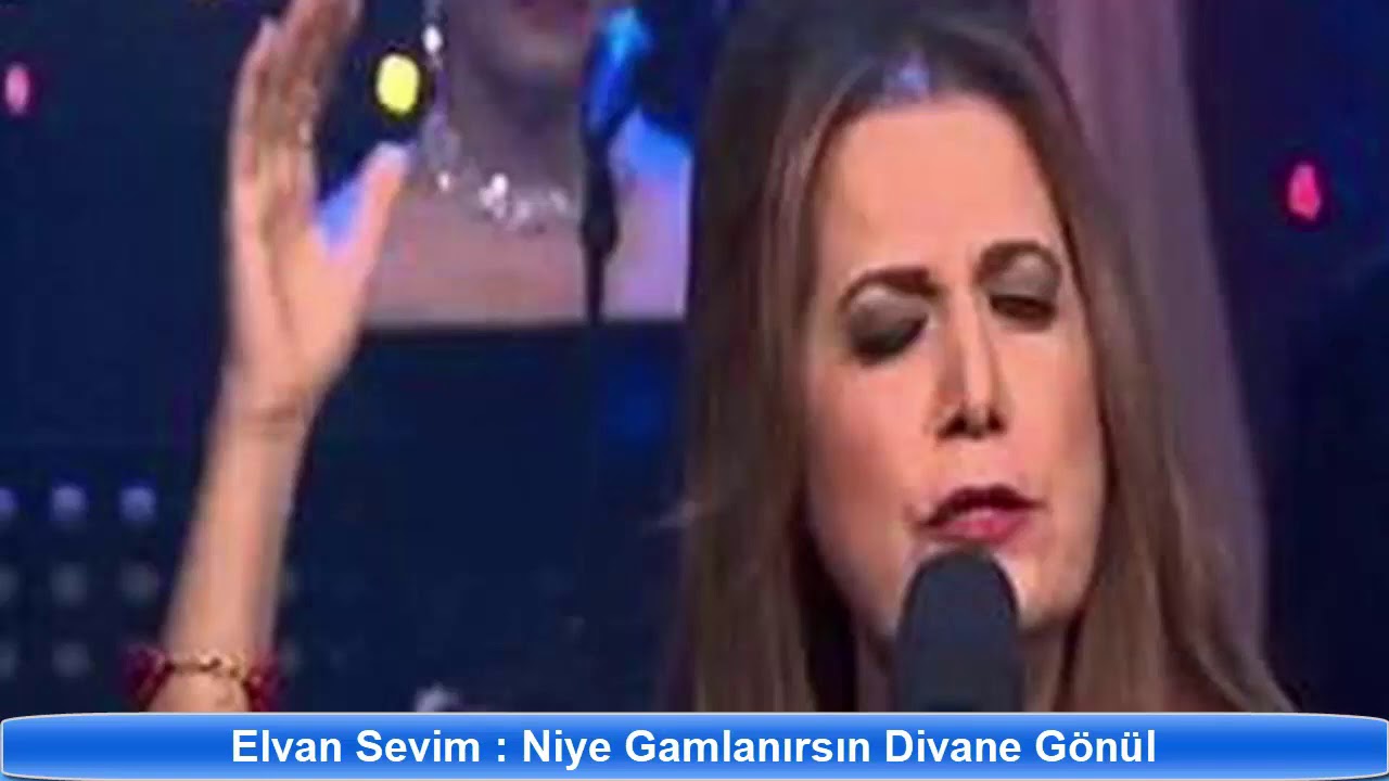ELVAN SEVİM : NİYE GAMLANIRSIN DİVANE GÖNÜL