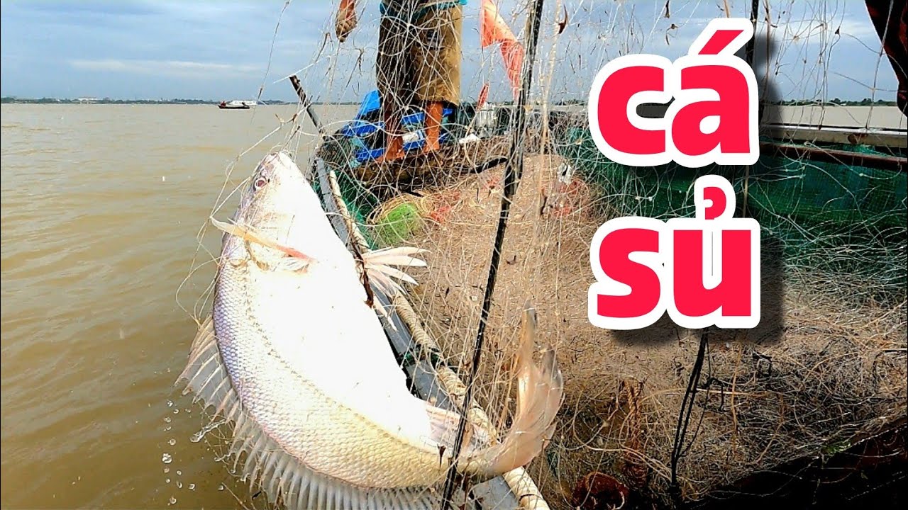 Vợ Chồng Ngư Dân Vui Vẻ Nhất Miền Tây | #66TV #fishing