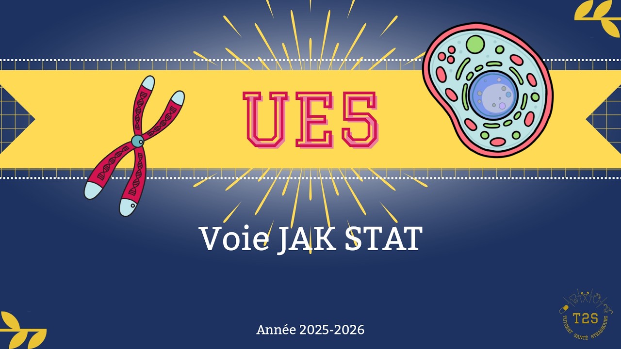 UE5 - Communication cellulaire - voie JAK STAT