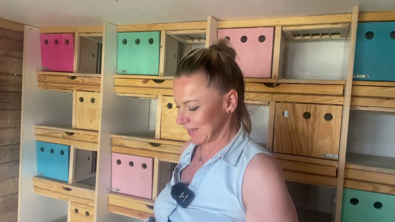 VLOG 127🔥🕊️Drugi marton🏅17.07.2023 Bad Bentheim 750 km