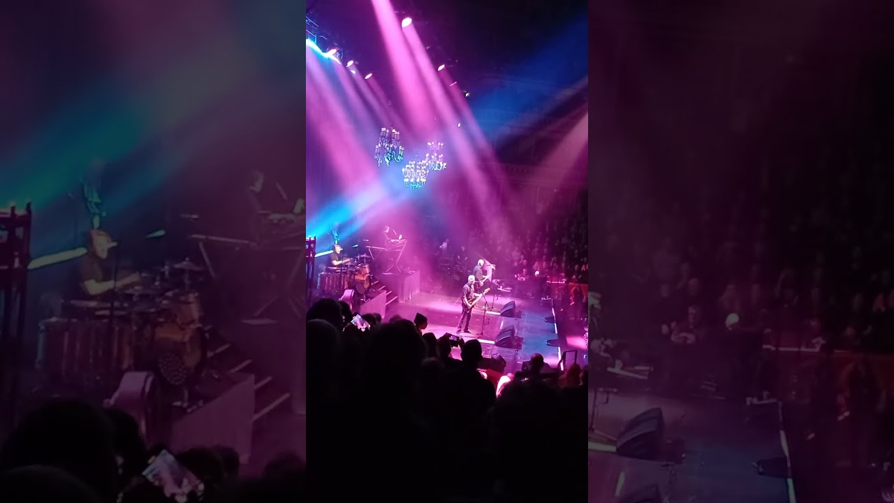 Go Buddy Go - The Stranglers     Royal Albert Hall