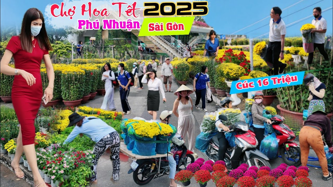 Chợ hoa tết 2025 tấp nập người mua hoa cúc giá rẻ Phú Nhuận Sài Gòn