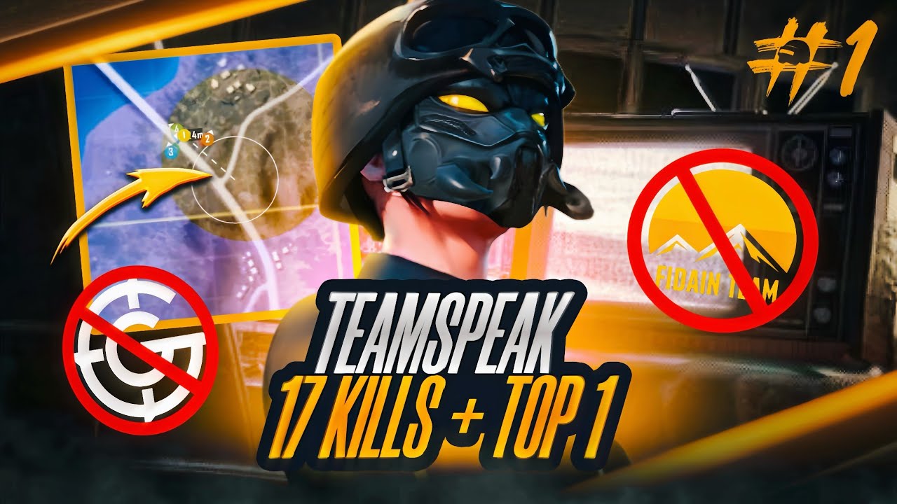 TEAMSPEAK 17 KILLS + TOP 1 | NPL