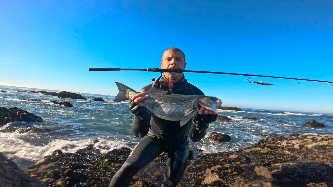 ROBALO AO SPINNING! NORTE DE PORTUGAL 🇵🇹 
