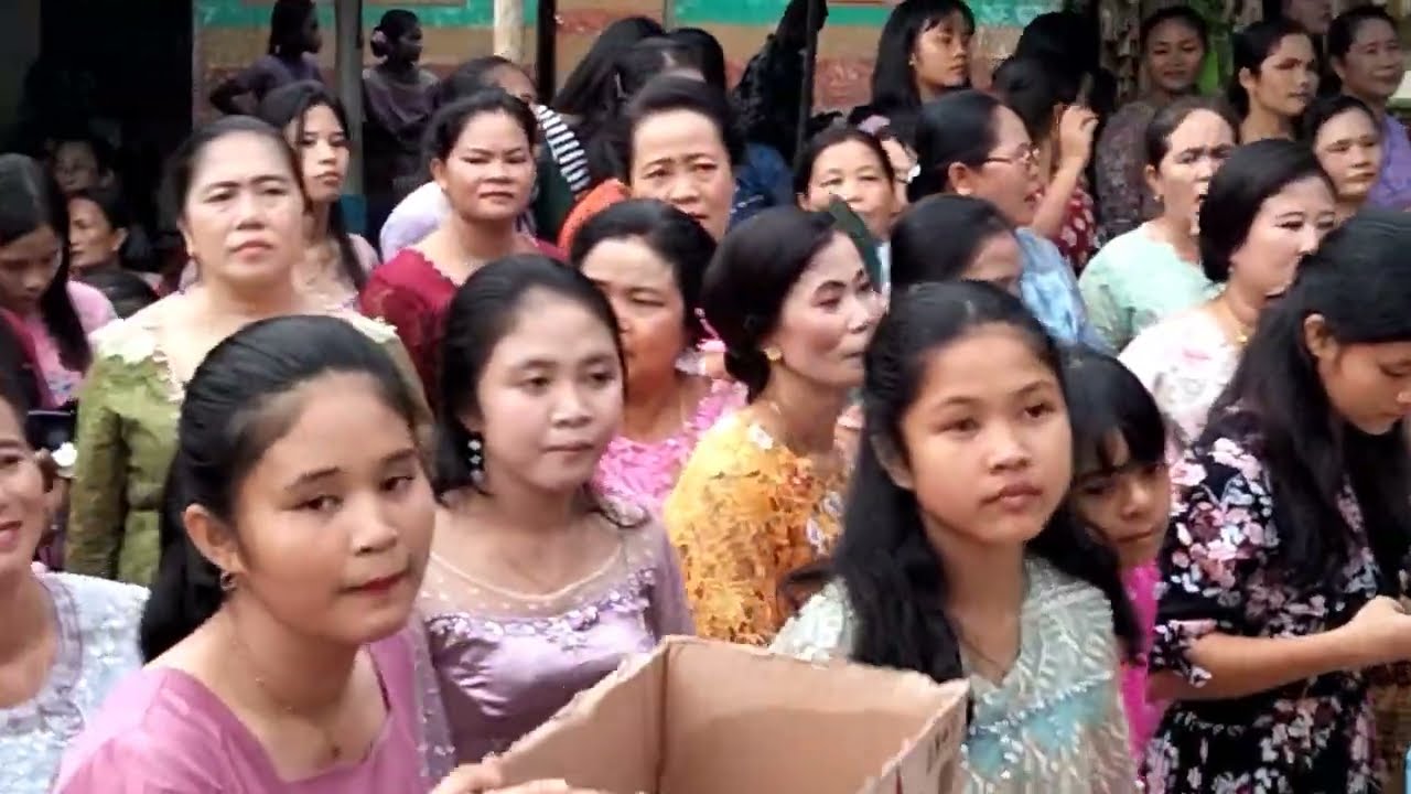 Lagu Nias - maena Ono niha paling populer || Pesta pernikahan   @VANIAKECEZALUKHU