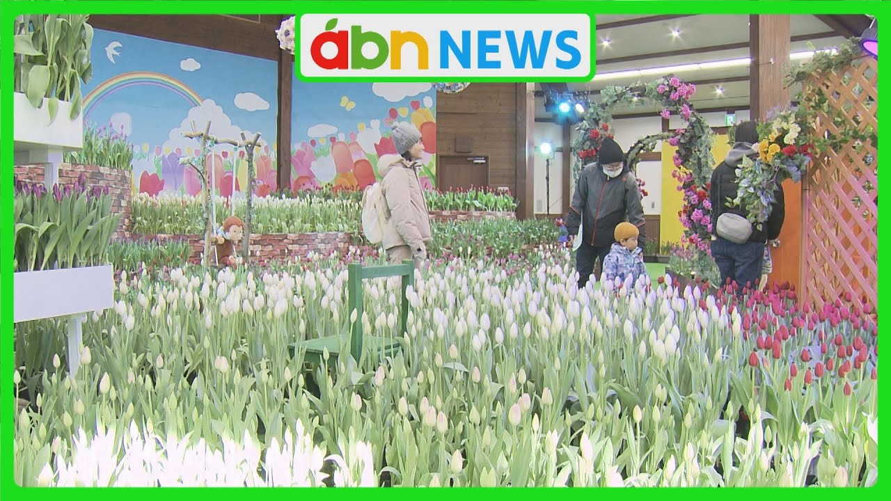 厳冬の安曇野に春の彩り　国営アルプスあづみの公園でアイスチューリップ1万5000本が開花(abnステーション　2026.02.02）