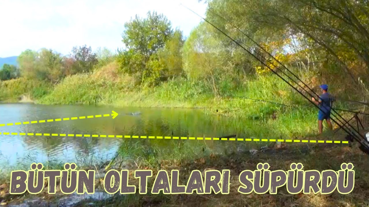 Çanakkale Sazan Avı Kampımız  | BAKİR GÖL 3.BÖLÜM | #fishing #carpfishing #camping