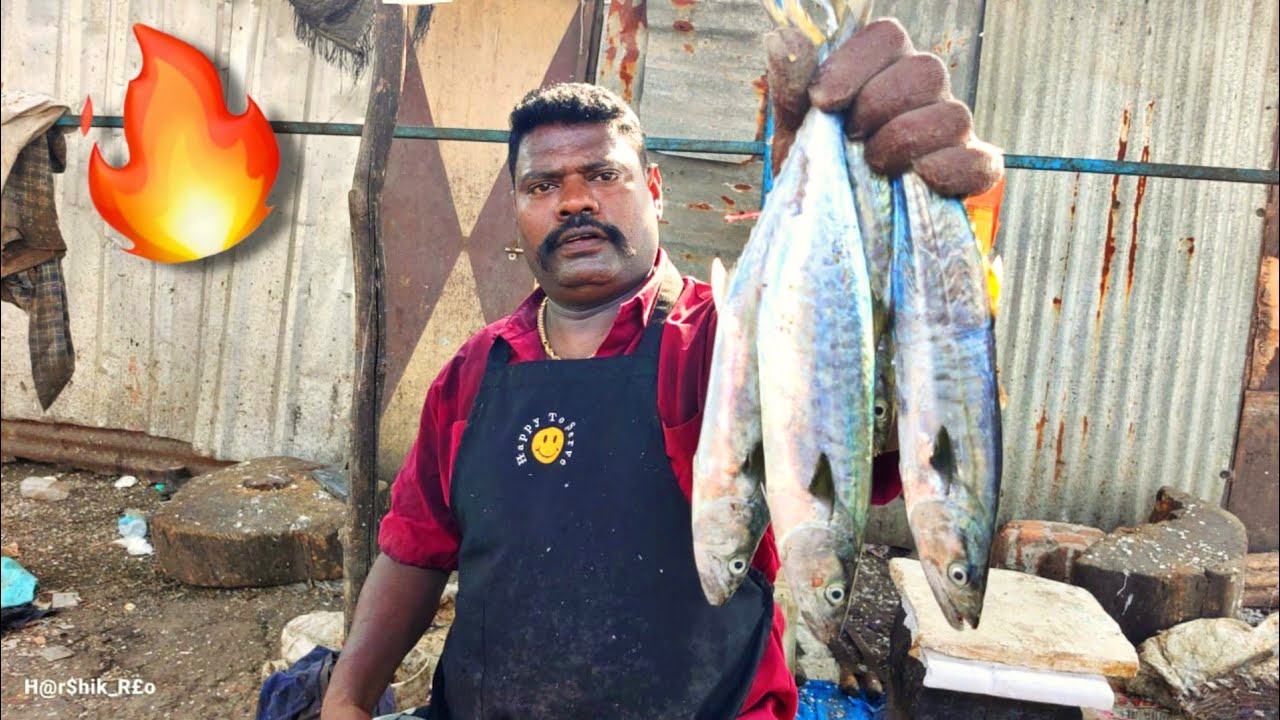 SMALL VANJARAM FISH CUTTING💥| KASIMEDU SELVAM FISH CUTTING | FULL HD | CKFC🔪