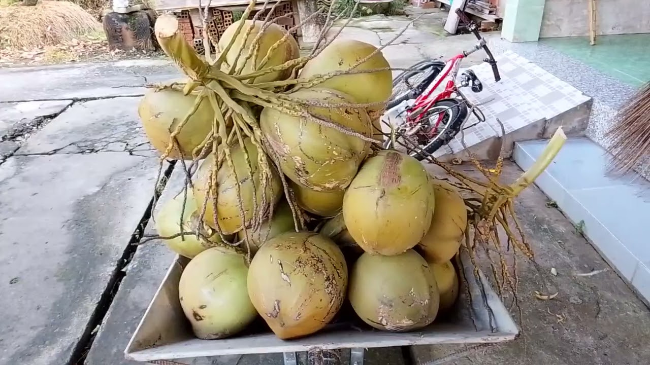 @Lần đầu tiên trong đời mì🥰🥰🥰🥰🥰🥰🥰🥰🥰....Xem thêm#dibi#