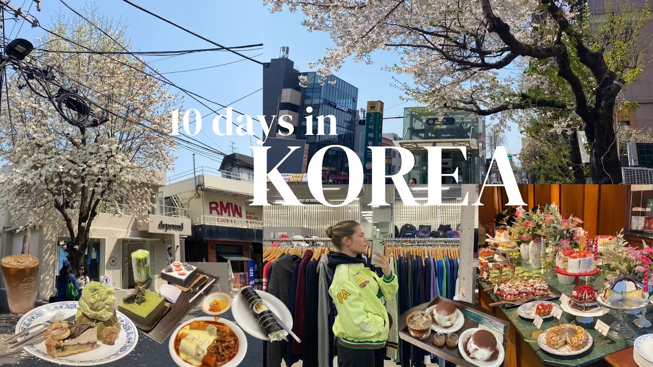 10 days in Korea | cherry blossoms, cafés, shopping, trip to Busan, no sleep, too much to do & see 🌸
