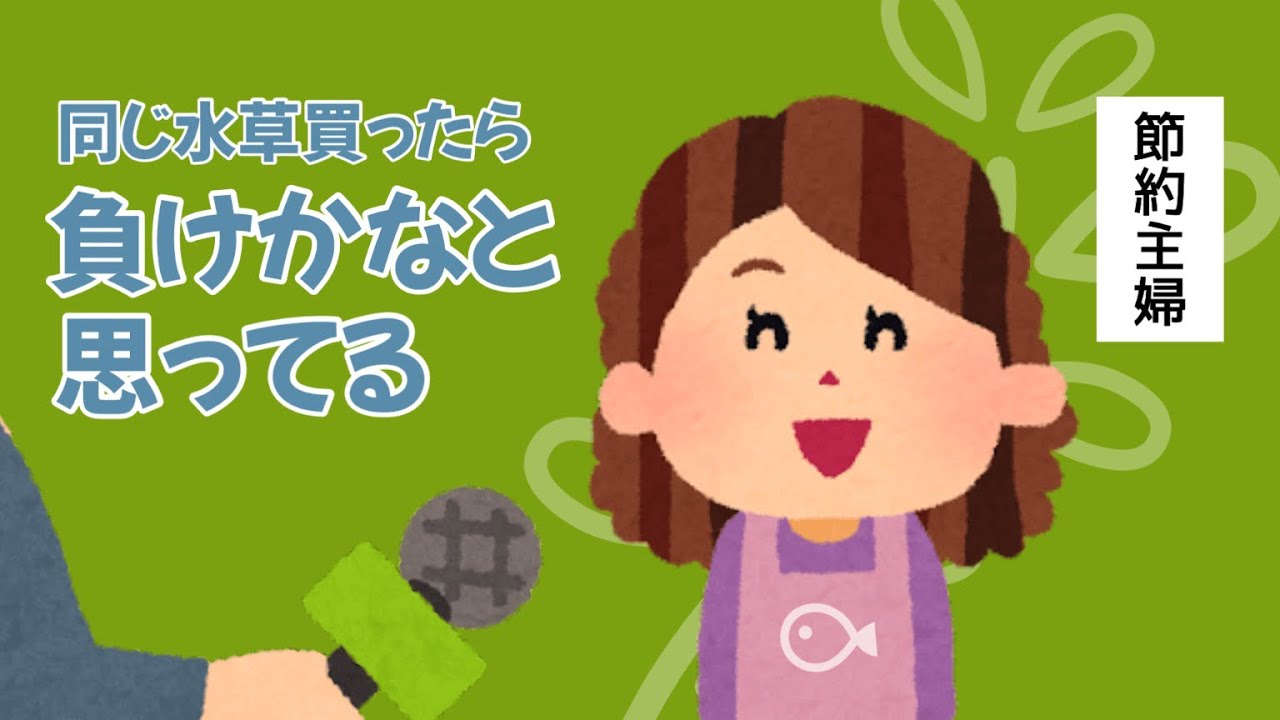 【めだか】無事越冬めざす水草室内ビオトープたちあげ！＆秋生まれ針子たち
