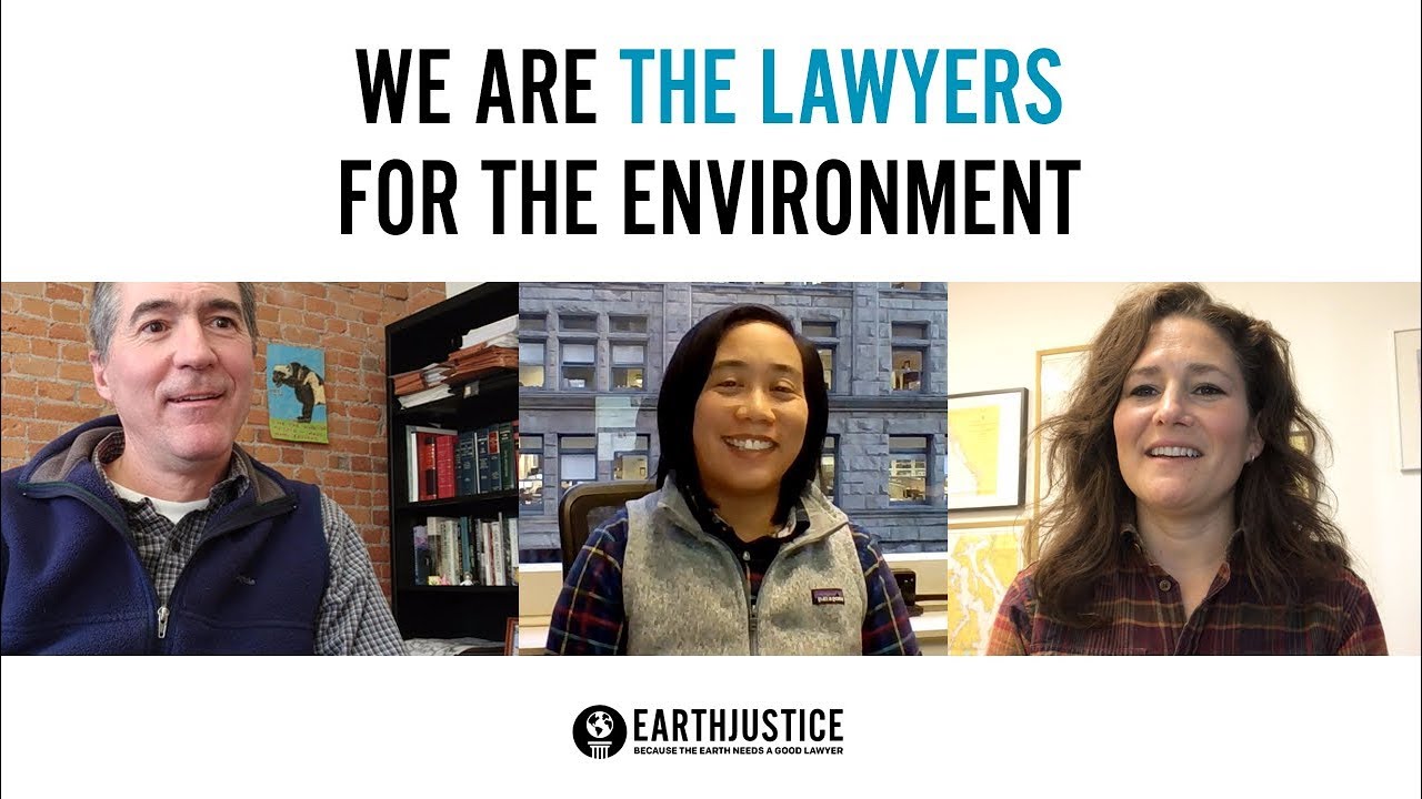 We are the lawyers for the environment