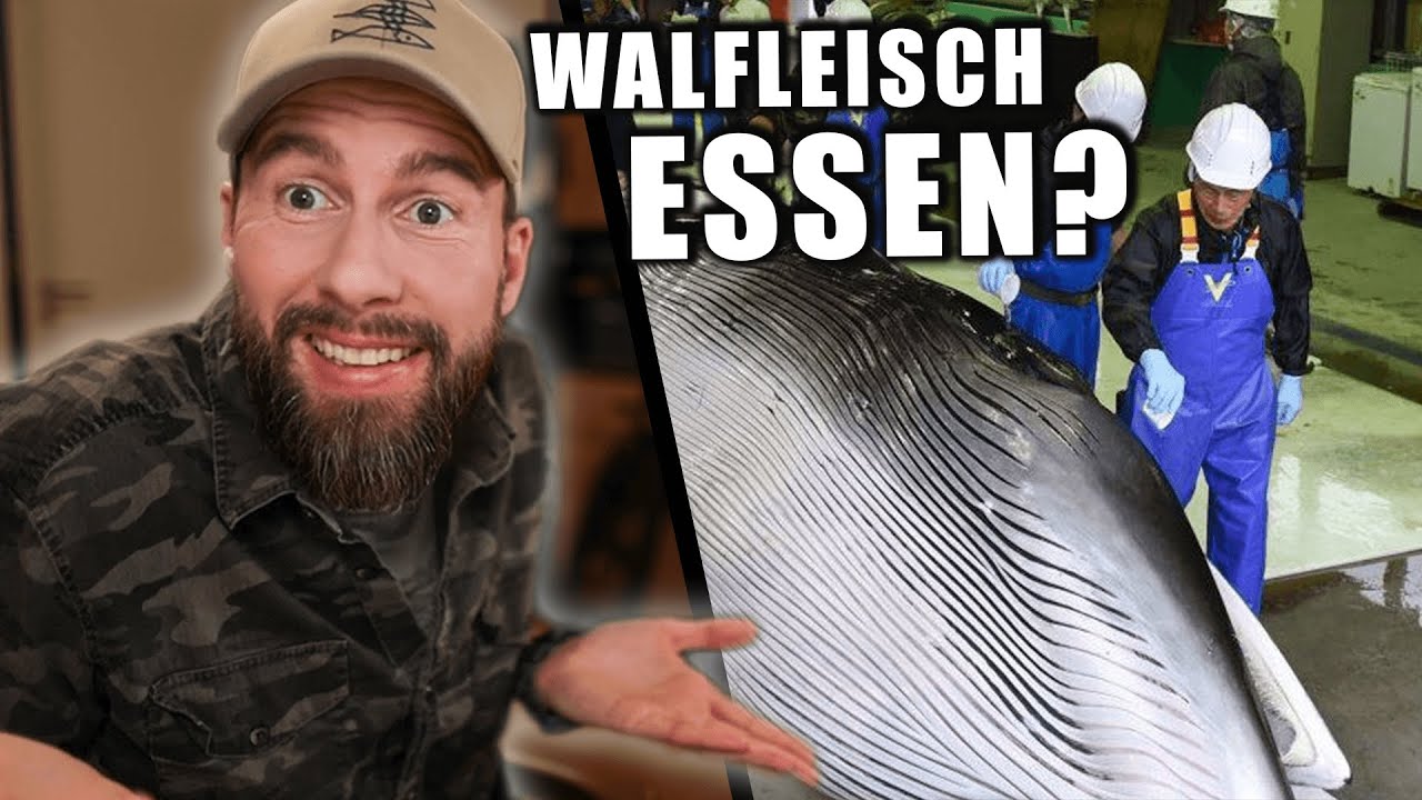 WAS ZUR HÖLLE! - Menschen sollten Walfleisch essen? | Robert Marc Lehmann