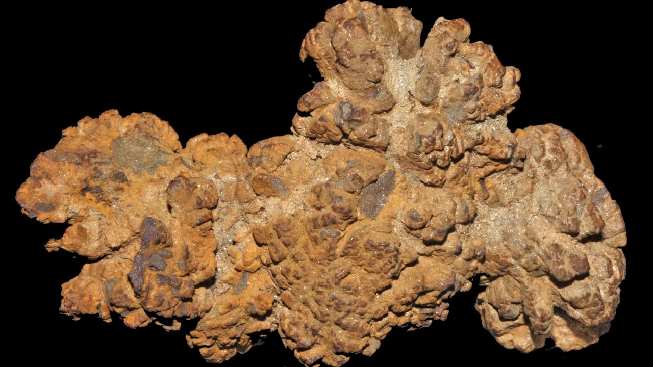Coprolite Chemistry - what fossilised faeces can tell us about extinct animals